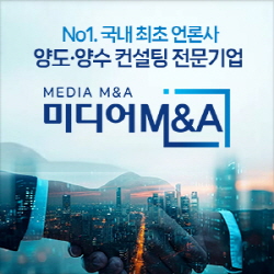 미디어M&A 250